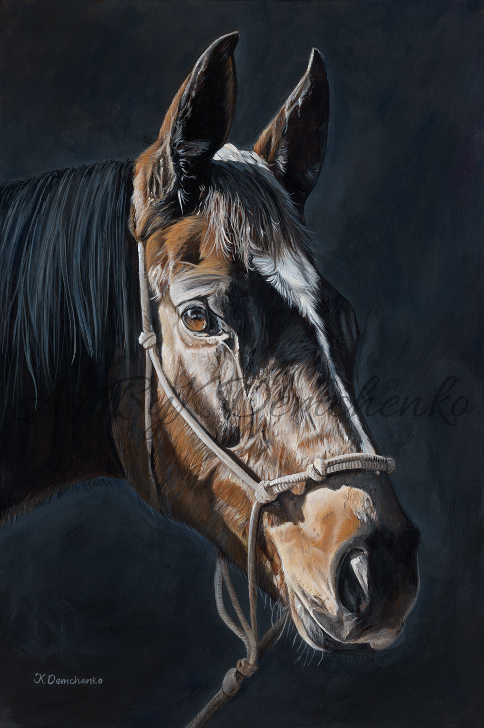 The Heart of the Stable