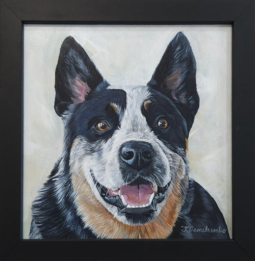 Blue Heeler Study Original Framed Artwork